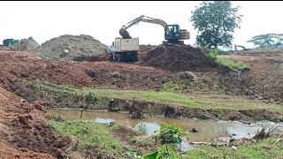 Backhoe Loading 10 Wheeler Dump Truck Hauling Stock File magawa Ng bagong Kalsada [upl. by Disraeli]