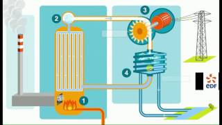 Production délectricité à laide de centrales thermiques à flamme et nucléaire animation EDF [upl. by Airamas]