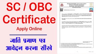 Delhi Caste Certificate Kaise Apply Kare  How to Apply SC Obc Certificate Online [upl. by Sila36]