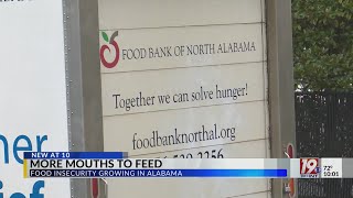 More Mouths to Feed Less Food to Do It Food Insecurity Increases in North Alabama  July 25 2024 [upl. by Aramoy]