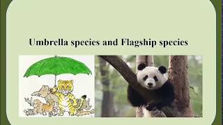 Umbrella species and flagship species [upl. by Alansen647]