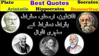 Socrates  Plato  Hippocrates  Aristotle  Democritus  Sukrat Aflatoon Arastu Quotes Urdu  Hindi [upl. by Larochelle85]