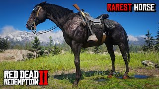 All 6 Rare Thoroughbred Horses Location amp Rankings  RDR 2 [upl. by Yssirc]