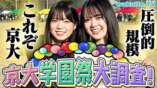 【さすが京大】学園祭「11月祭」に潜入！クセがすごいサークルからふーみん激推しのアイドルも！【wakatte TV】983 [upl. by Voletta]