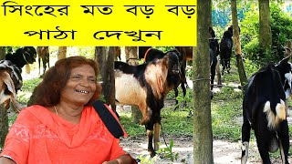 তৃতীয় লীঙ্গের সর্দারের বিশাল দেহের পাঠা।। এত বড় বড় পাঠা কোনদিন দেখিনি ।। pathar [upl. by Zil]