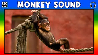 🐵 MONKEY SOUND  MONKEY SOUND EFFECT  SOUND OF MONKEY  NOISE OF MONKEY [upl. by Evangelia]