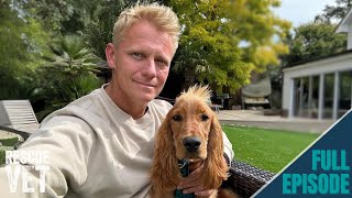 First month with my rescue dog Mango I ended up in hospital  Rescue Vet with Dr Scott Miller [upl. by Jimmy]