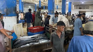 Karachi Fisheries 3pm Hayla Market 2 Nov Updates  HD [upl. by Grunberg812]