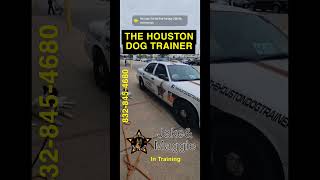 THE HOUSTON DOG TRAINER 1 IN TEXAS pet pets dog dogs dogsofinstagram houstondogtraining [upl. by Eelirem]