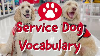 Service dog Vocabulary [upl. by Ihskaneem]