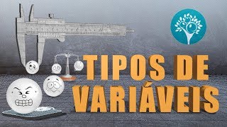 Tipos de variáveis  qualitativas e quantitativas [upl. by Lasser349]