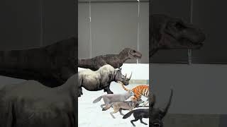 Avoid the ferocious beasts chasing😰😰animals funny shorts [upl. by Odlo]