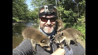 Incredible baby raccoon encounter [upl. by Eelrak862]