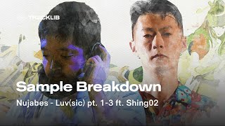 Sample Breakdown Nujabes ft Shing02  Luvsic pt 13 [upl. by Zingale]