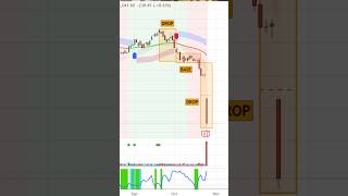 🚨 IndusInd Bank CRASHES 19 😱 Did Technical Analysis WARN Us 📉 Fundamental Analysis FAILED [upl. by Yeo]