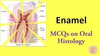 MCQs on Oral Histology Enamel  Amelogenesis for NBDE NDEB AIPGEE AIIMS ADA etc [upl. by Intihw326]