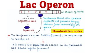 Lac Operon  Principle and Mechanism [upl. by Mauldon]