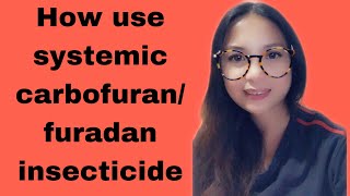 Paano gamitin ang systemic carbofuran insecticide Anna Lissa Vlog [upl. by Josias]