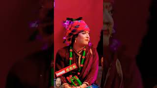 comedy funny entertainment kapilsharmashow love views ytshortsindia ytviral ytshorts video [upl. by Airdnax]