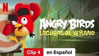 Angry Birds Locuras de verano Temporada 2 Clip 4  Tráiler en Español  Netflix [upl. by Sokem]