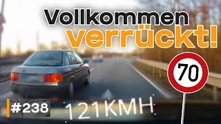 120 bei 70 Geisterfahrer und Hund rennt auf Landstraße  GERMAN DASHCAM  238 [upl. by Dnomayd]