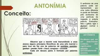 Aula 1  Ortografia  Sinonímia Antonímia Homonímia e Paronímia [upl. by Naor]