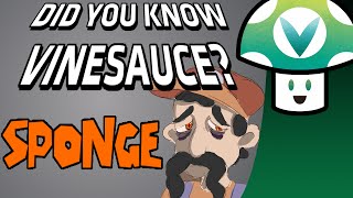 Did You Know Vinesauce  Sponge [upl. by Haleelahk]