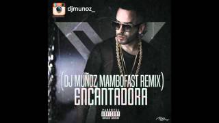 Yandel â€“ Encantadora Dj MuÃ±oz Mambofast Remix [upl. by Savart]