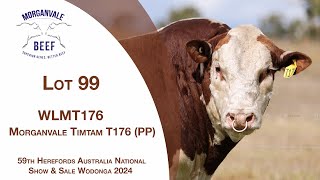 Lot 99 Morganvale Timtam T176 PP [upl. by Messing43]