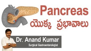 Hi9  Pancreas యొక్క ప్రభావాలు  DrAnandakumar  Surgical Gastroenterologist [upl. by Nylannej]