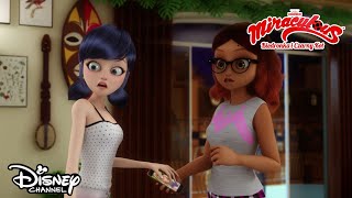 🐞 Plan zdemaskowania Biedronki  Miraculous Biedronka i Czarny Kot  Disney Channel Polska [upl. by Adamski]