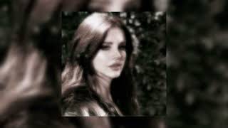 Lana Del Rey  National Anthem [upl. by Yahska]