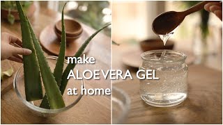 2 ways to make pure organic aloe vera gel at home and preserve for months [upl. by Naryt]