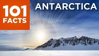 101 Facts About Antarctica [upl. by Pen]