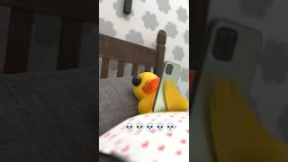 Bhoot Ko bhagane ka Tarika duck birds cute [upl. by Aikenat]