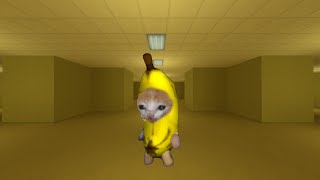 Banana Cat Happy  Crying  Coughing 1 Hour [upl. by Yelrahs]