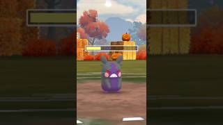 When I used Morpeko in battle with form change 😳 Pokemon go [upl. by Ecienaj]