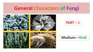 General Characters of Fungi Part1 Hindi [upl. by Audrie773]