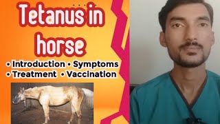 Tetanus in Horse complete guide  Animals  Tetanus treatment  Vet Experts  Dr Abdullah [upl. by Niarfe704]