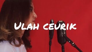 ULAH CEURIK  DEDI KRISNA  COVER BY FANNY SABILA [upl. by Etnuaed965]