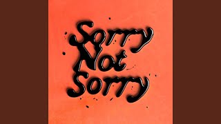 Sorry Not Sorry [upl. by Parke]