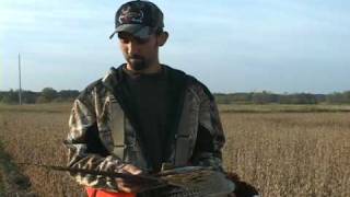 Pheasant Hunt quotWild Birds Michiganquot [upl. by Fasano]