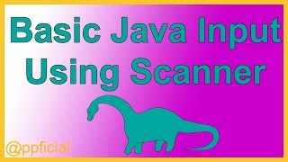 Basic Java Input using Scanner methods next and nextInt  Java Tutorial  Appficial [upl. by Snyder]