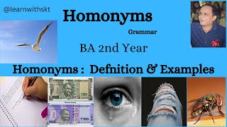 Homonyms  Definition amp Examples [upl. by Ahtamas]