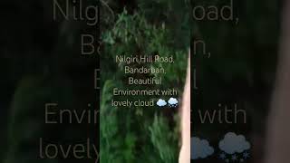 Nilgiri Hill Road Bandarban Beautiful Environment with lovely cloud ☁️🌨️ [upl. by Arinaid978]