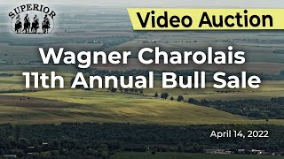 Wagner Charolais 11th Annual Bull Sale [upl. by Bindman]