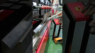 HOGI Single cylinder pumpcontrolled servo bending machine for 8mm thick plate bending demonstration [upl. by Chappy]