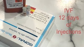 IVF  12 Days of Injections [upl. by Naor]