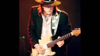 Honey BeeStevie Ray Vaughan and Double Trouble [upl. by Jemma]