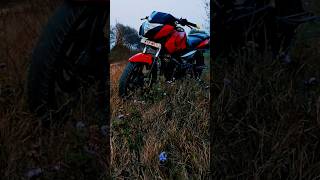 Bajaj Pulsar 135 🔥video 135cc [upl. by Refitsirhc]